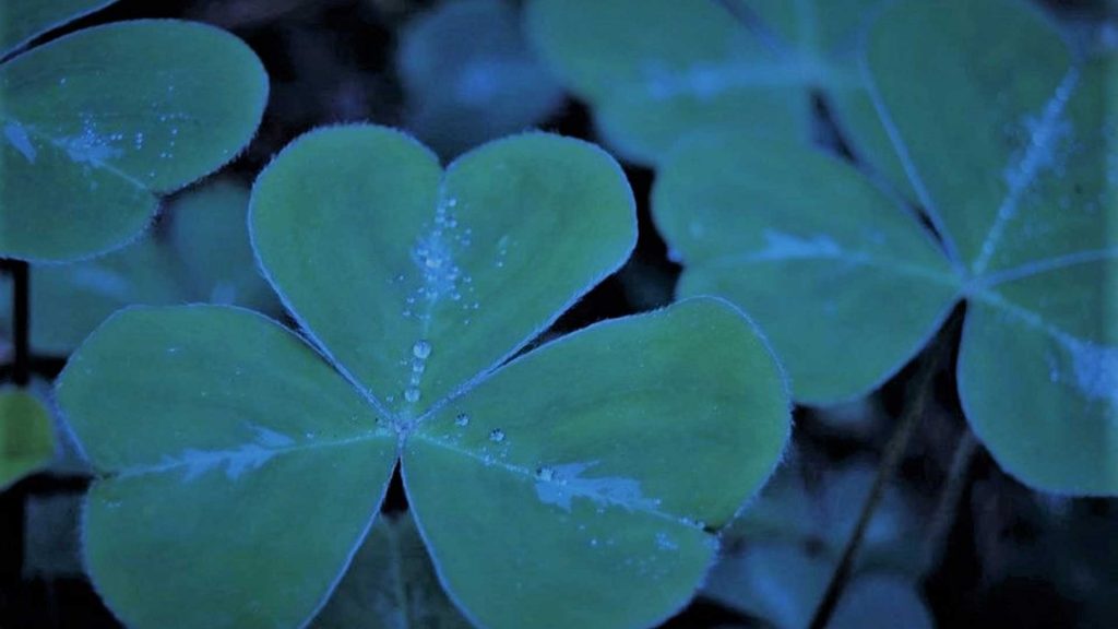 Μπορείτε να εξηγήσετε την Τριαδικότητα;